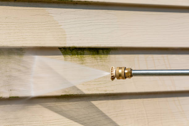 Best Roof Pressure Washing  in Anahuac, TX