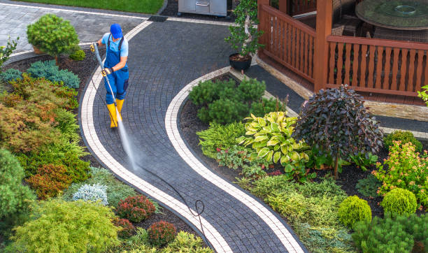 Best Roof Pressure Washing  in Anahuac, TX